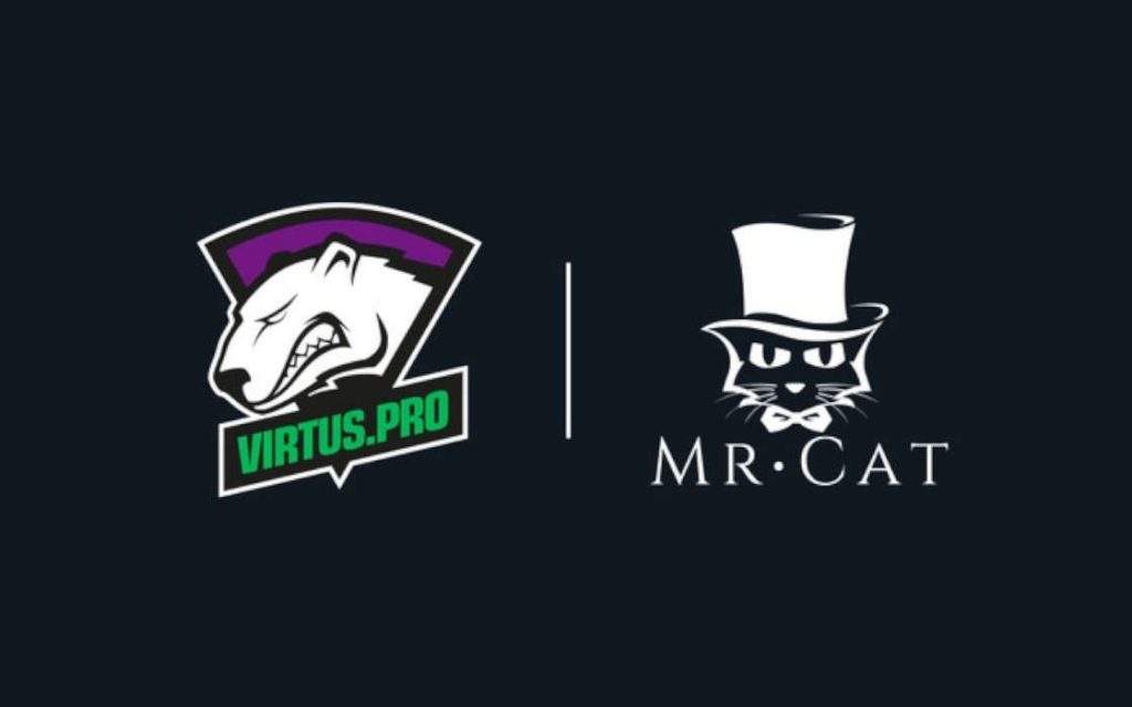 Virtus.pro and Mr. Cat partnership